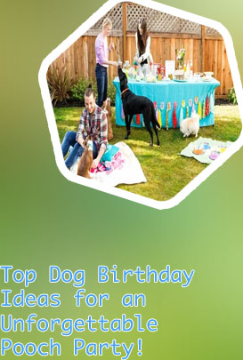 Dog party games