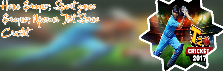 Online cricket game