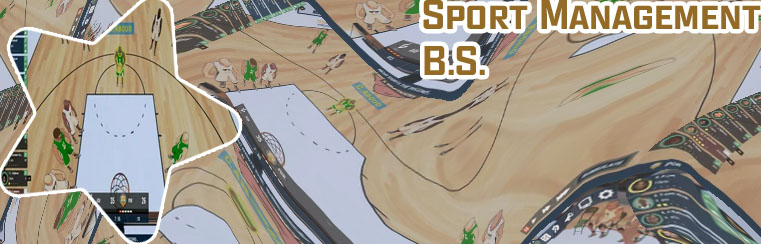 Sport manager games